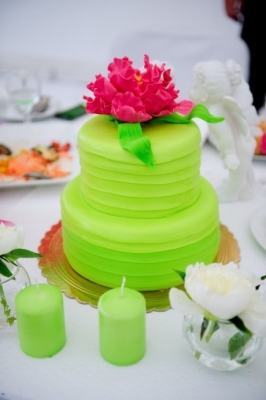 Торт Зеленый рай за 1кг